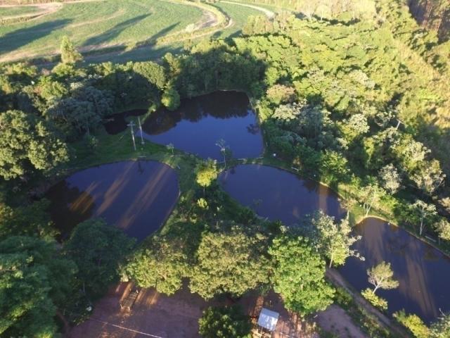 Chácara para Venda em Torrinha - 5
