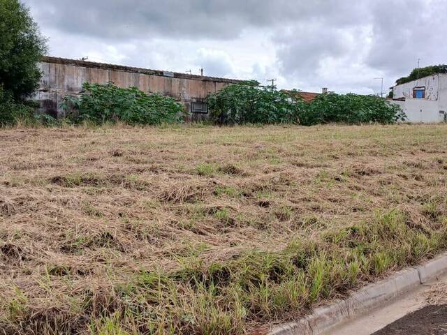 #98 - Área para Venda em Torrinha - SP - 2