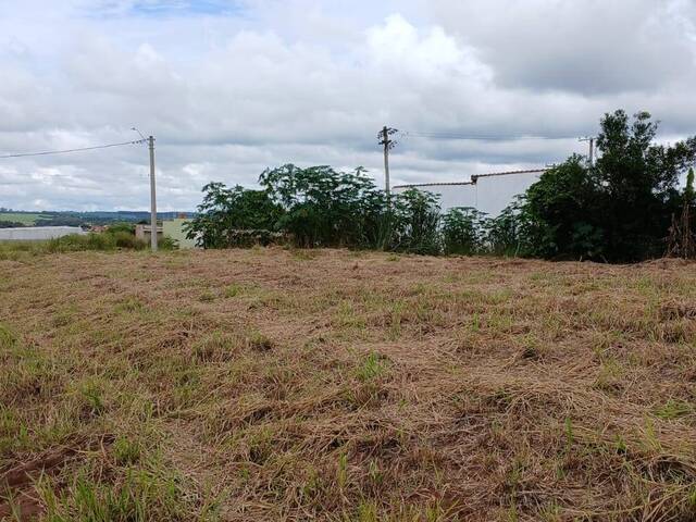 #98 - Área para Venda em Torrinha - SP - 3