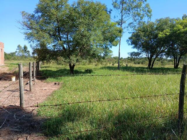 #102 - Área para Venda em Torrinha - SP - 2