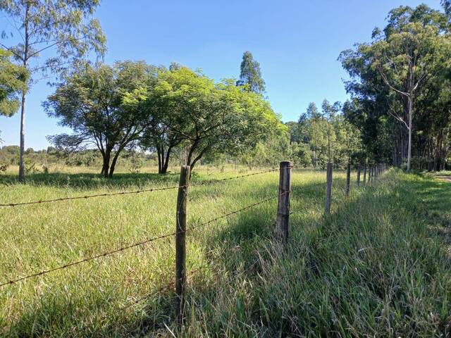 #102 - Área para Venda em Torrinha - SP - 3