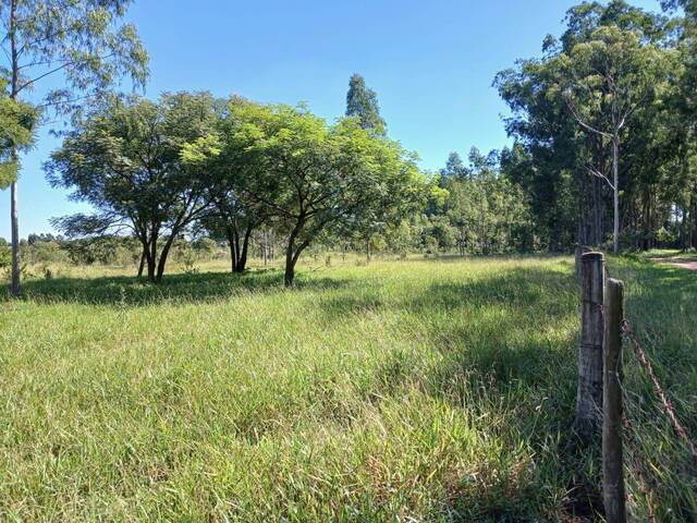 Área para Venda em Torrinha - 4