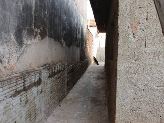 Casa para Venda em Torrinha - 5