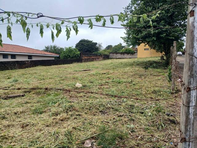 Área para Venda em Torrinha - 3