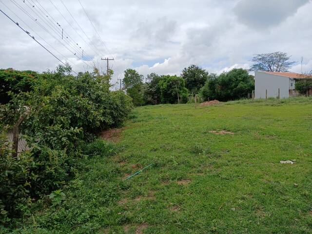 #116 - Área para Venda em Torrinha - SP